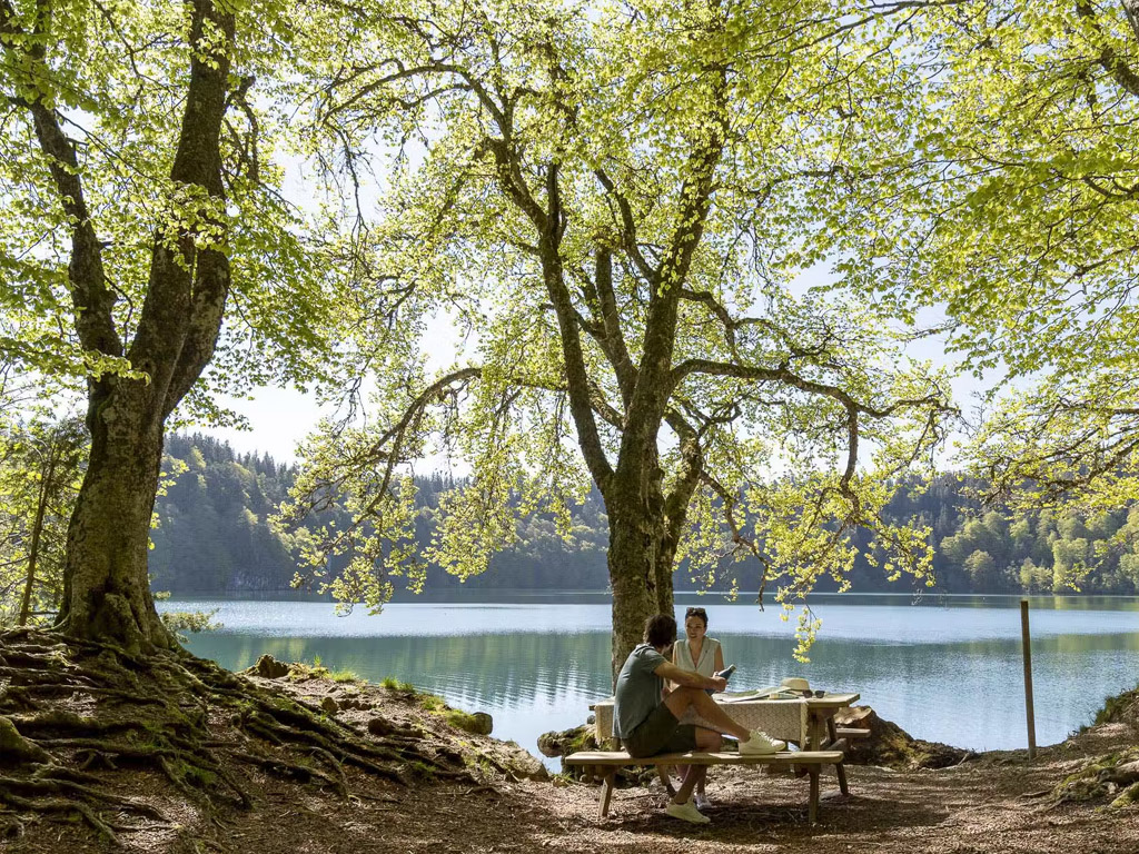 Camping Sandaya La Ribeyre 6