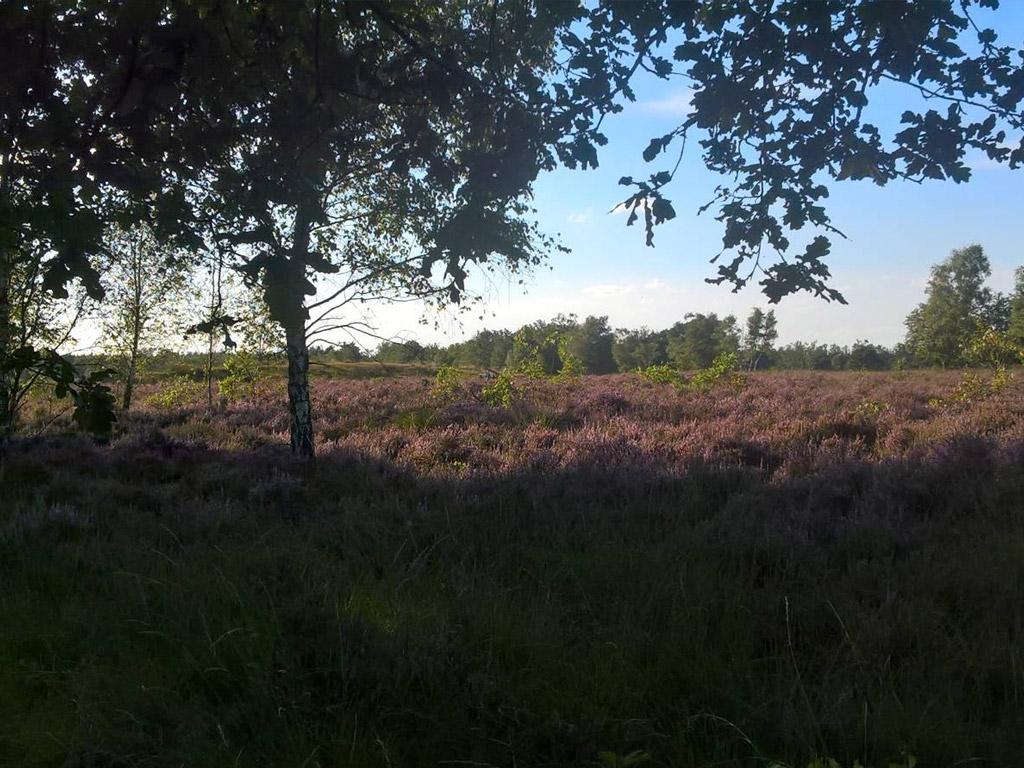 Camping De Hooiberg 10