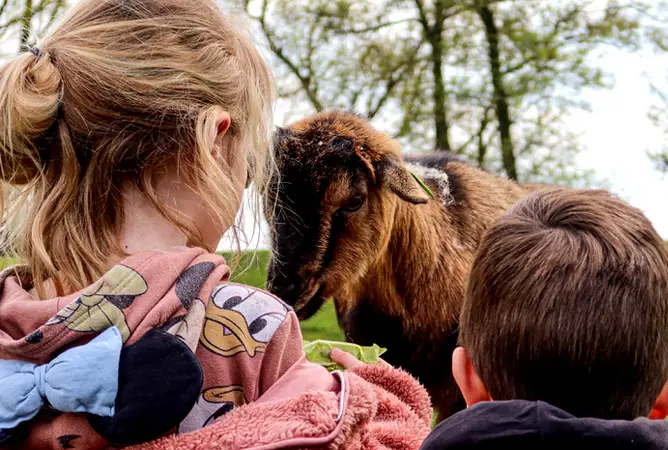 Tipps für die Suche nach einem geeigneten Campingplatz für Kinder