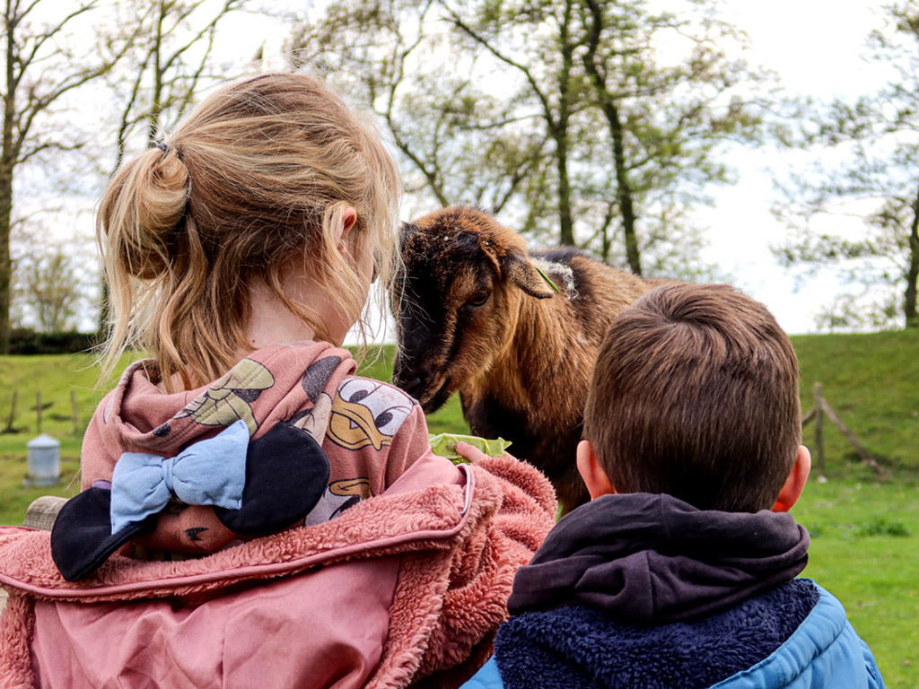Finden Sie einen schönen Campingplatz für Ihre Kinder