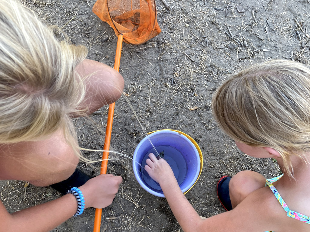 Verwenden Sie einen Teppich mit einer Kunststoffunterlage.