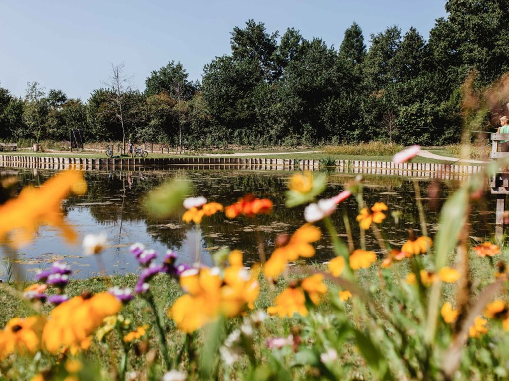 Kleiner Wolfs-Campingplatz - Campingplatz des Jahres 2025