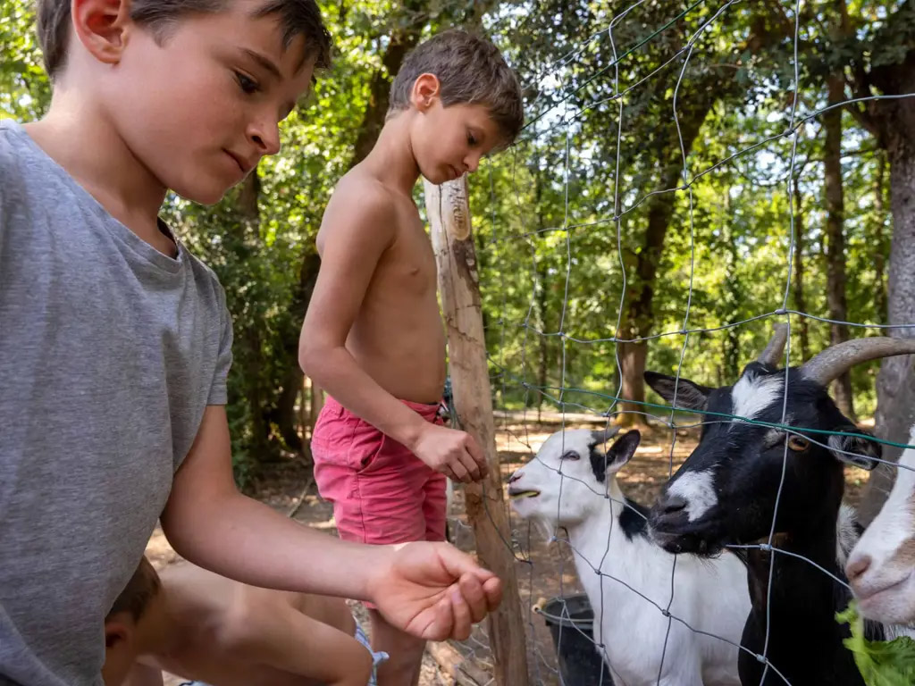Ein Bauernhof in der Dordogne mit Eseln