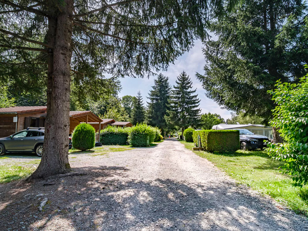 Flower Camping Du Lac De La Seigneurie 9