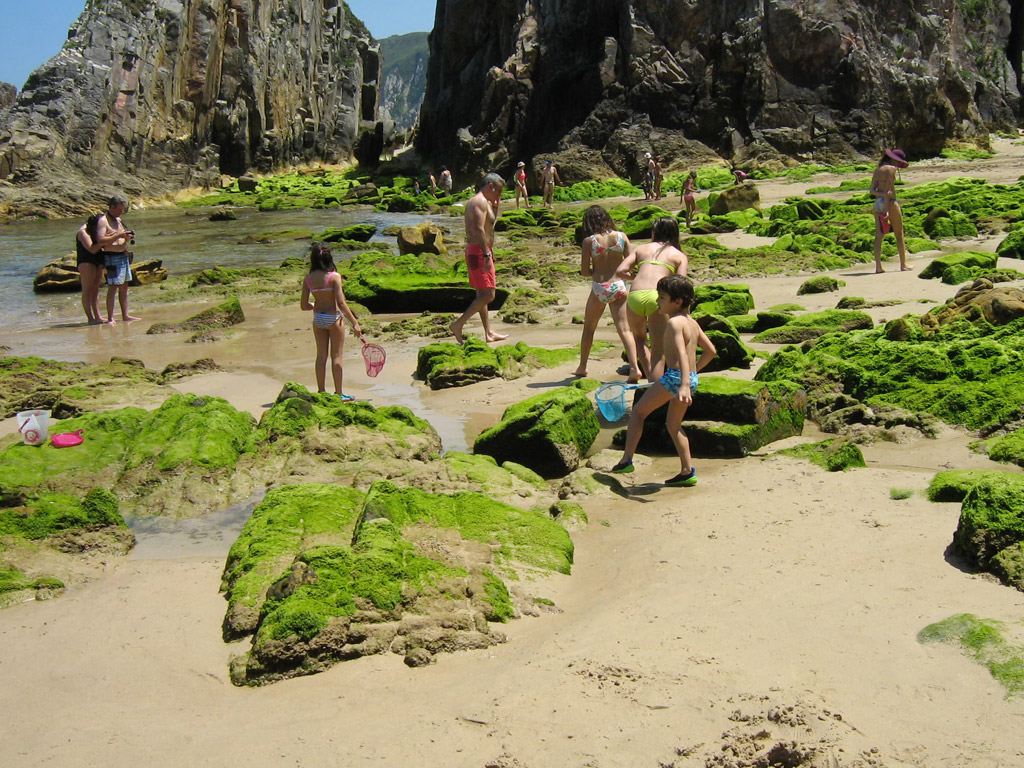 Camping Hortensias 10