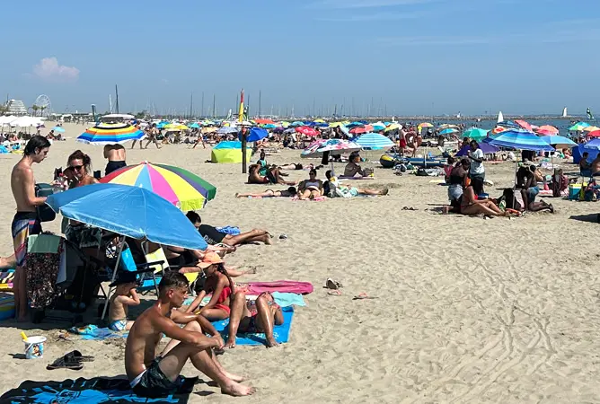 Wir waren campen in... der südfranzösischen Camargue