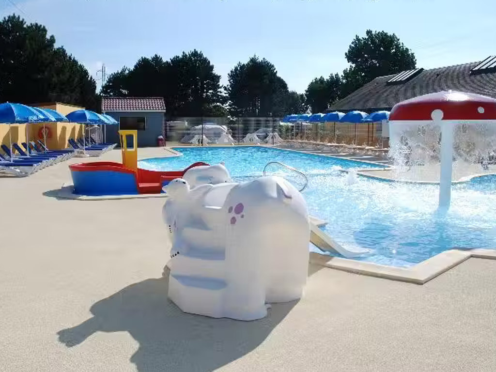 Flower Camping Vitamin 6