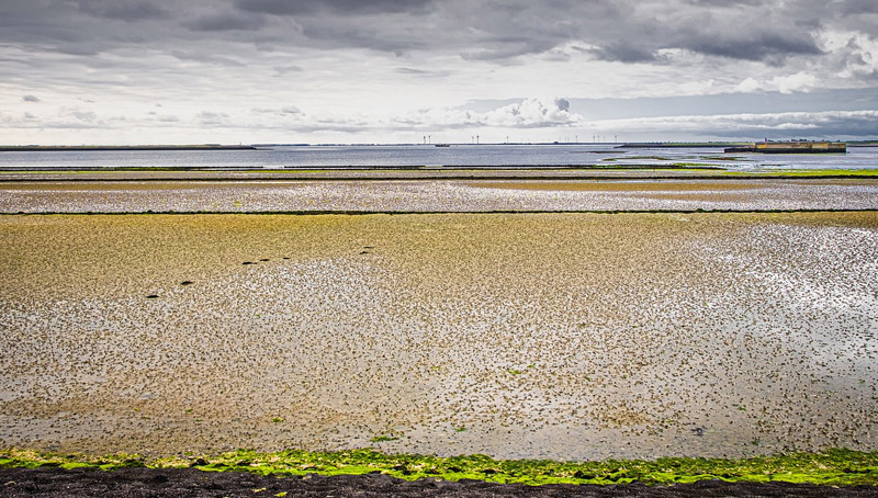 Zeeland 5 (1) (1) (1)