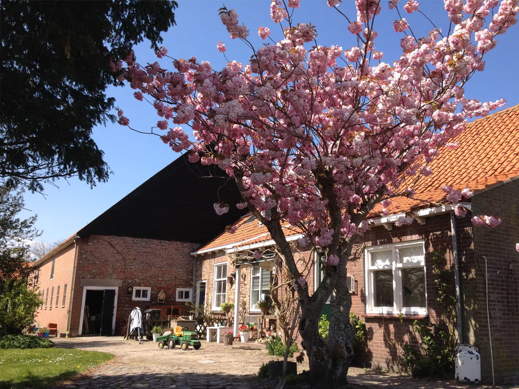 Minicamping Westerwijk 2