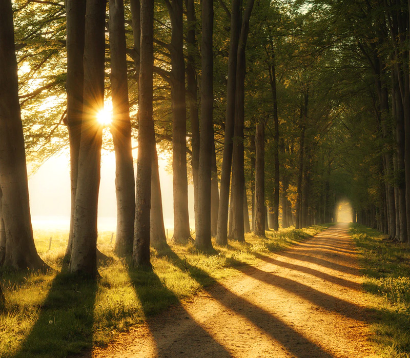 Gelderland 8 (2) (1)