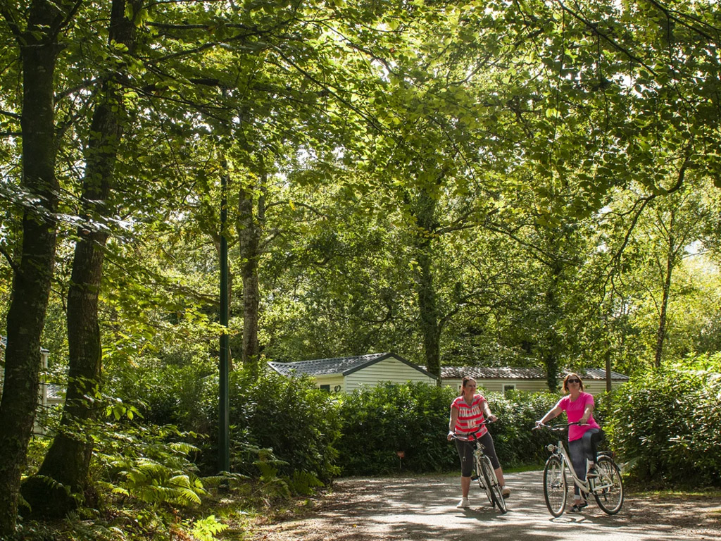 Camping Le Bois De Pleuven 7