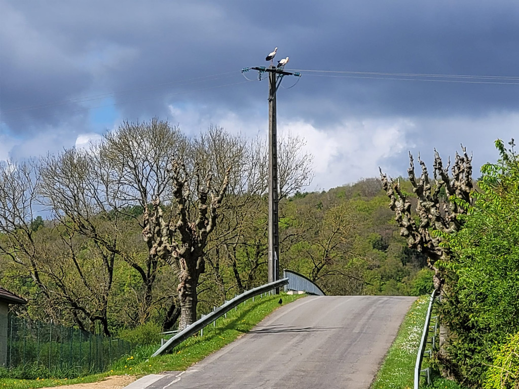 Camping Le Brouzel 3