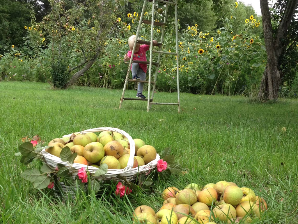 Minicamping Westerwijk 9