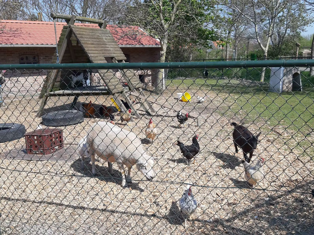 Boerencamping De Koehoorn 10