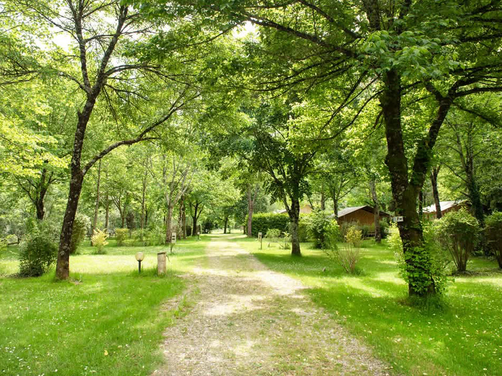 Camping Pittoresque 6