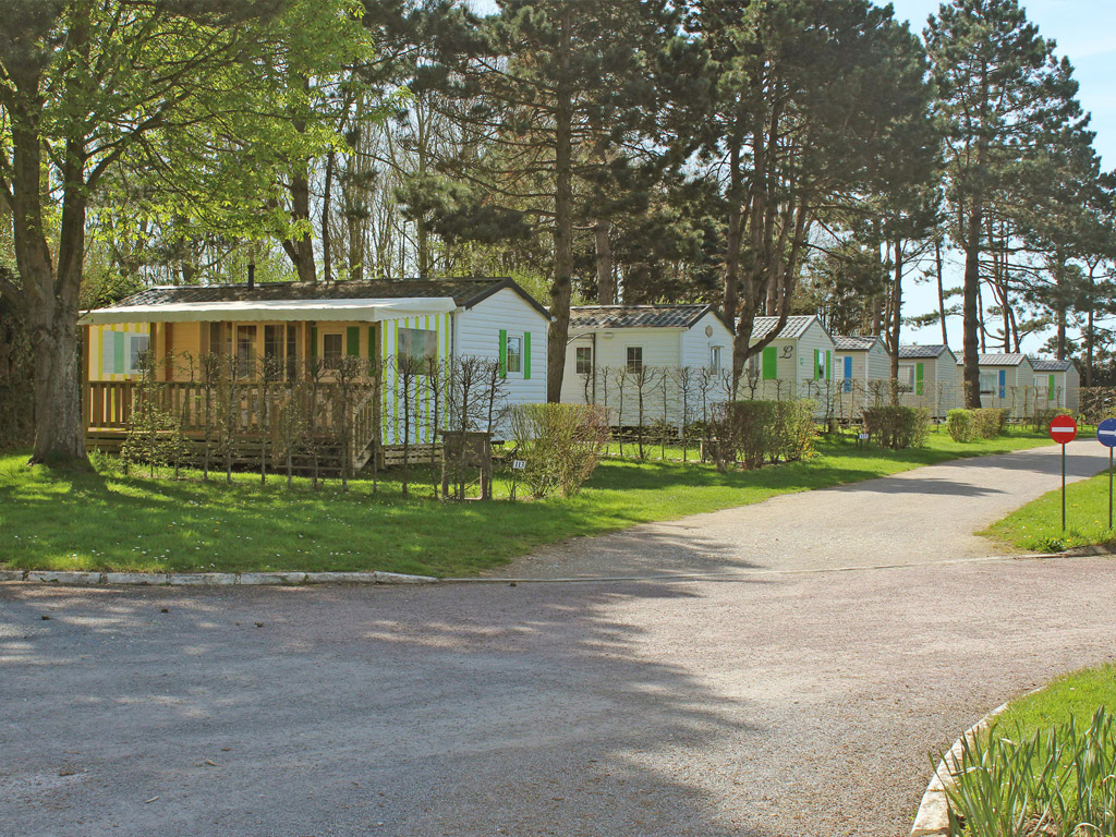 Flower Camping Le Rompval 4