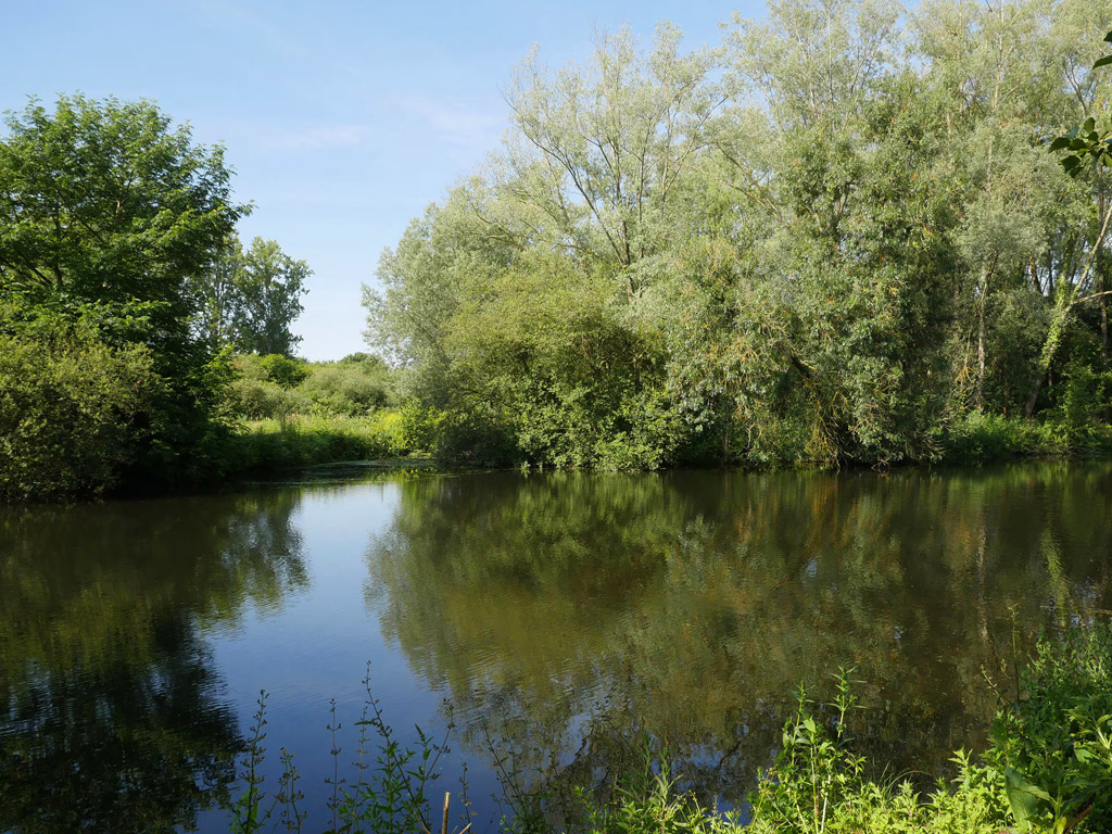 Camping Parc Des Cygnes 7