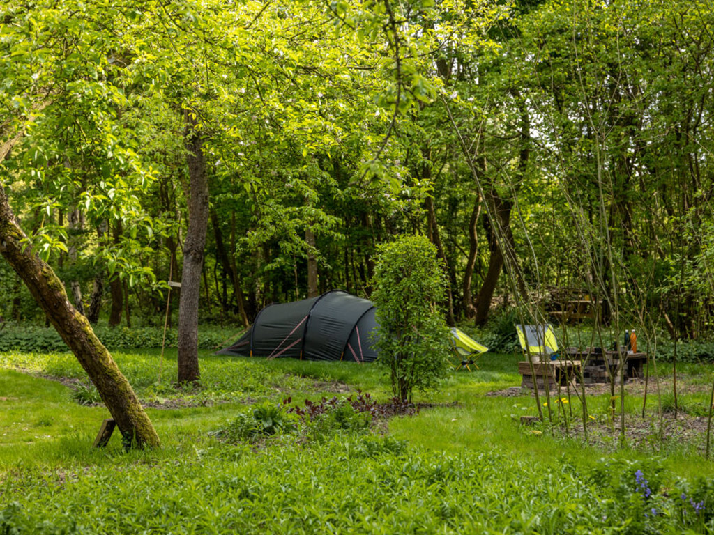 Cleygaerd Natuurcamping 3