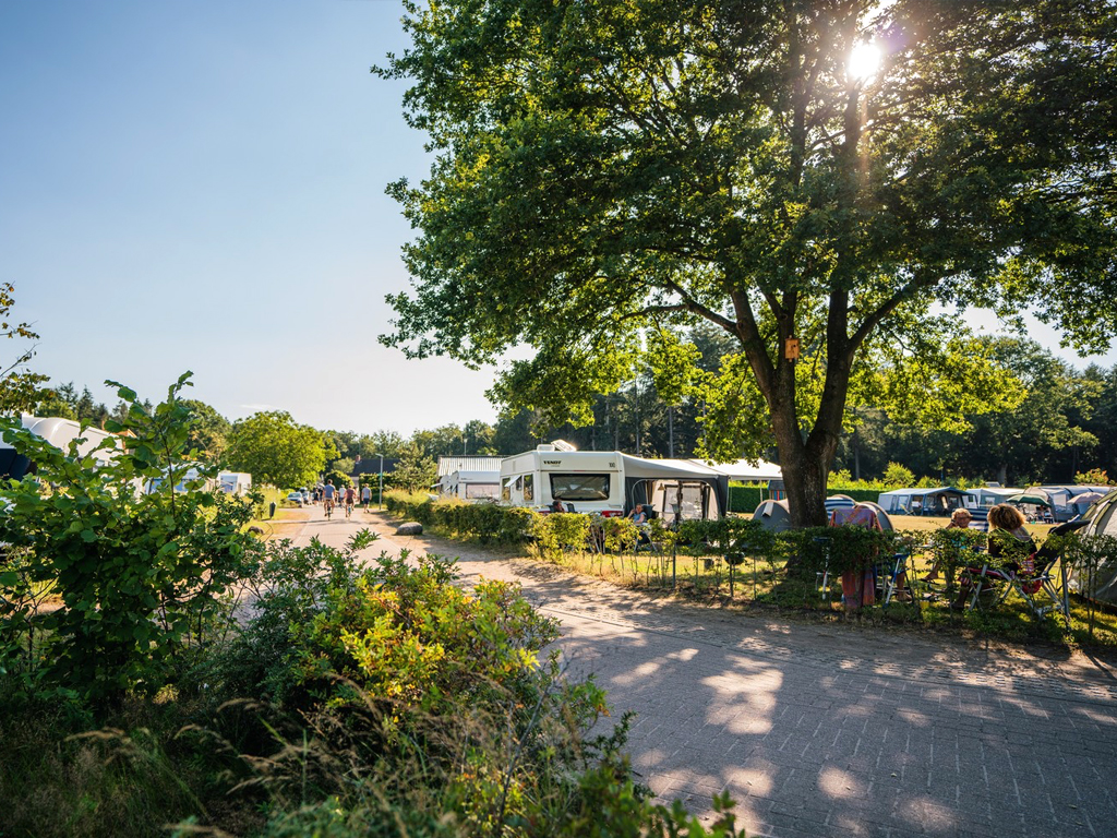 Sehr waldreich mit vielen Annehmlichkeiten für Jung und Alt