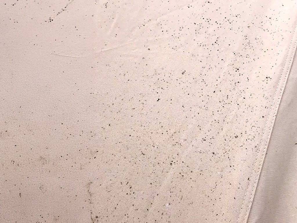 Schimmel in Ihrem Zeltstoff