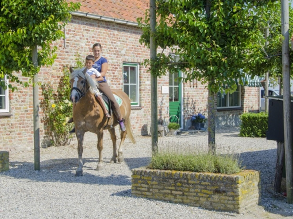 Minicamping Boogaard 7