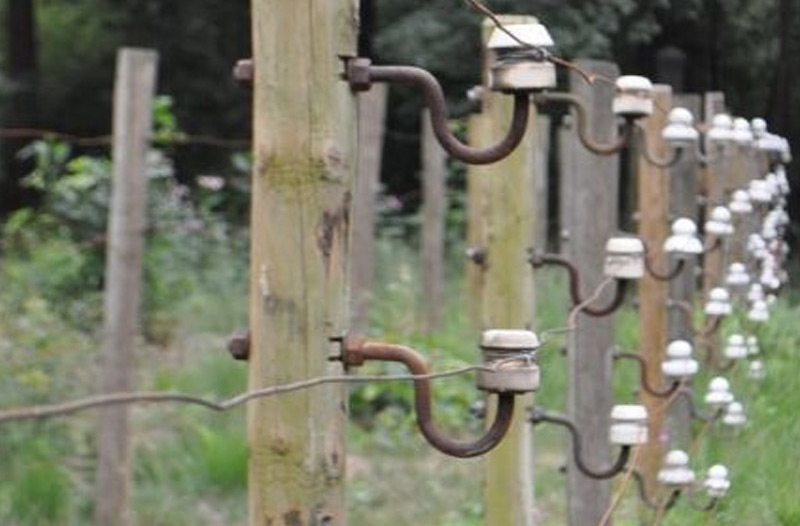 Limburg 5 (1) (1) (1)