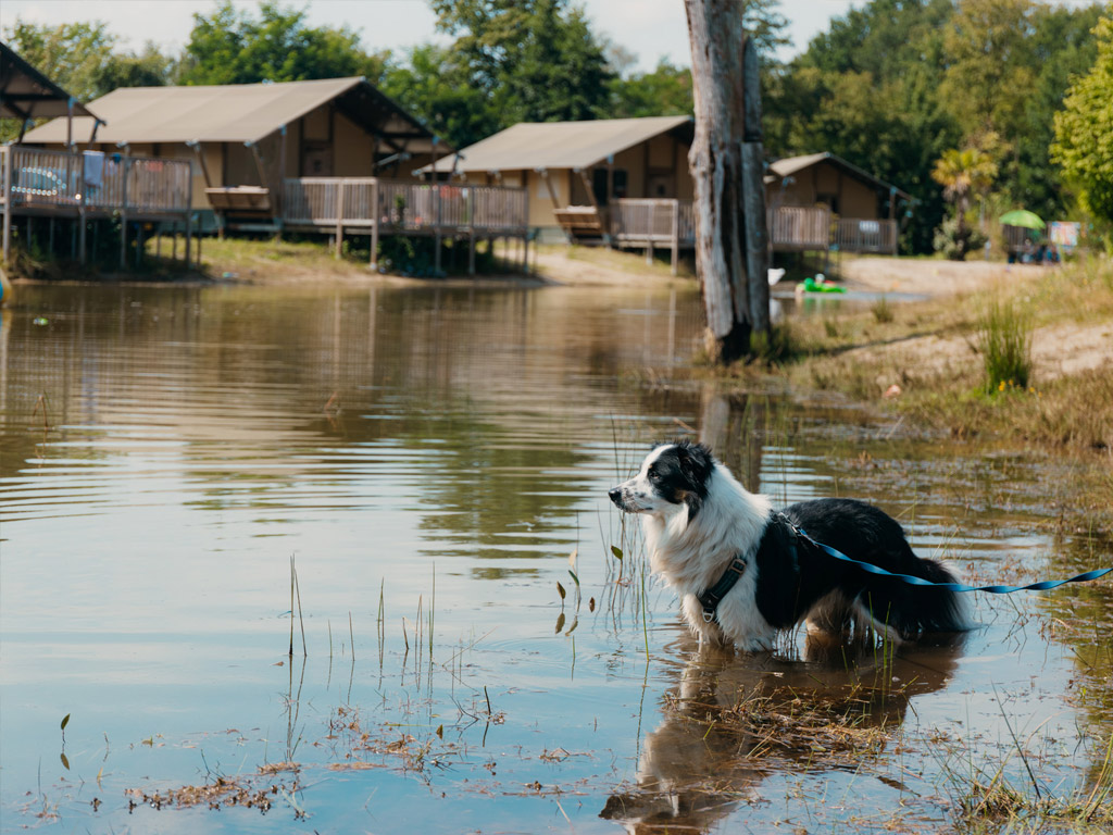 Vakantiepark Sallandshoeve 15
