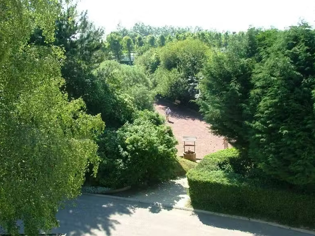 Flower Camping Vitamin 9