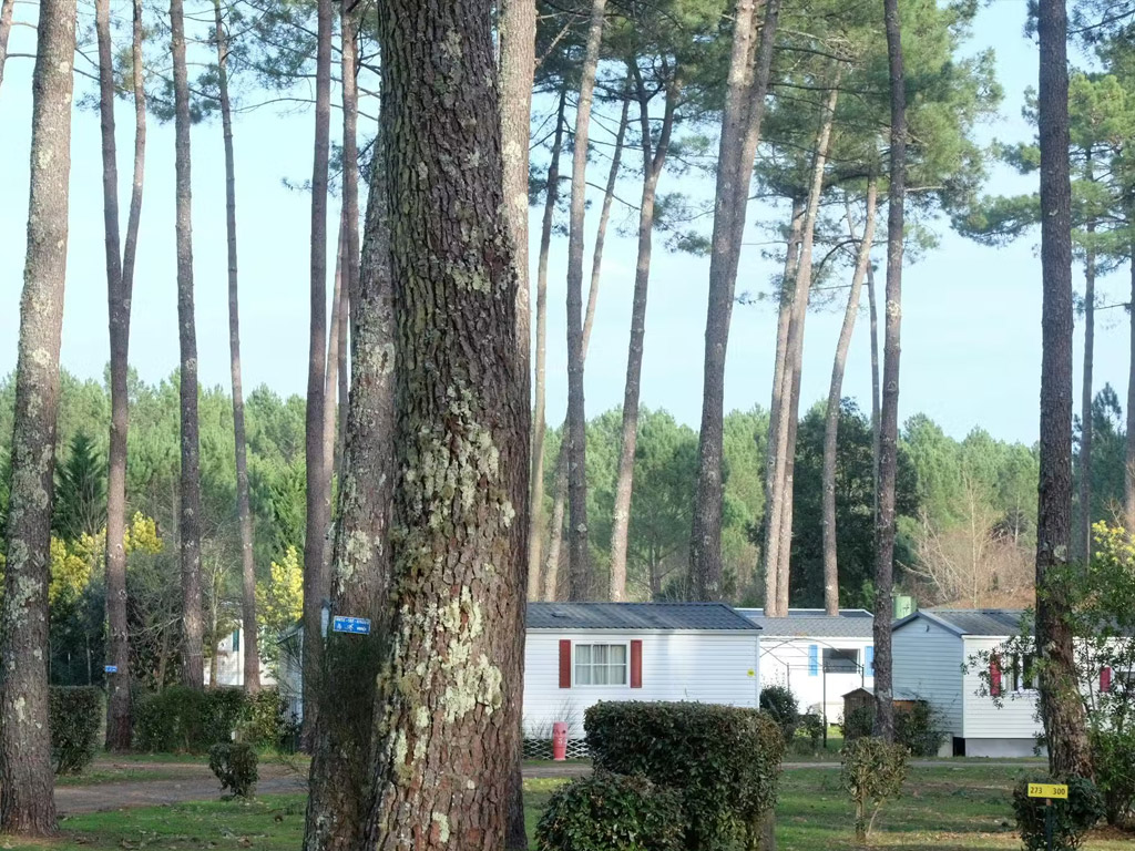 Les Dunes De Contis 8