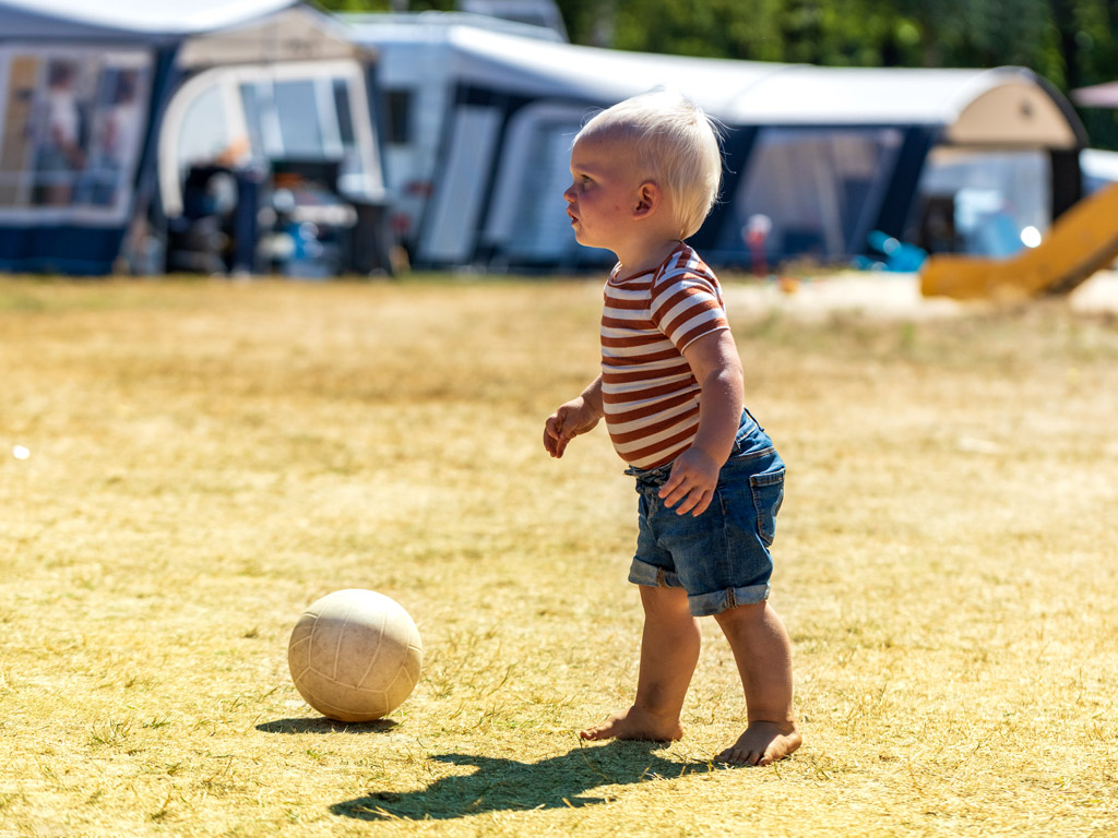 Camping De Vossenburcht 5