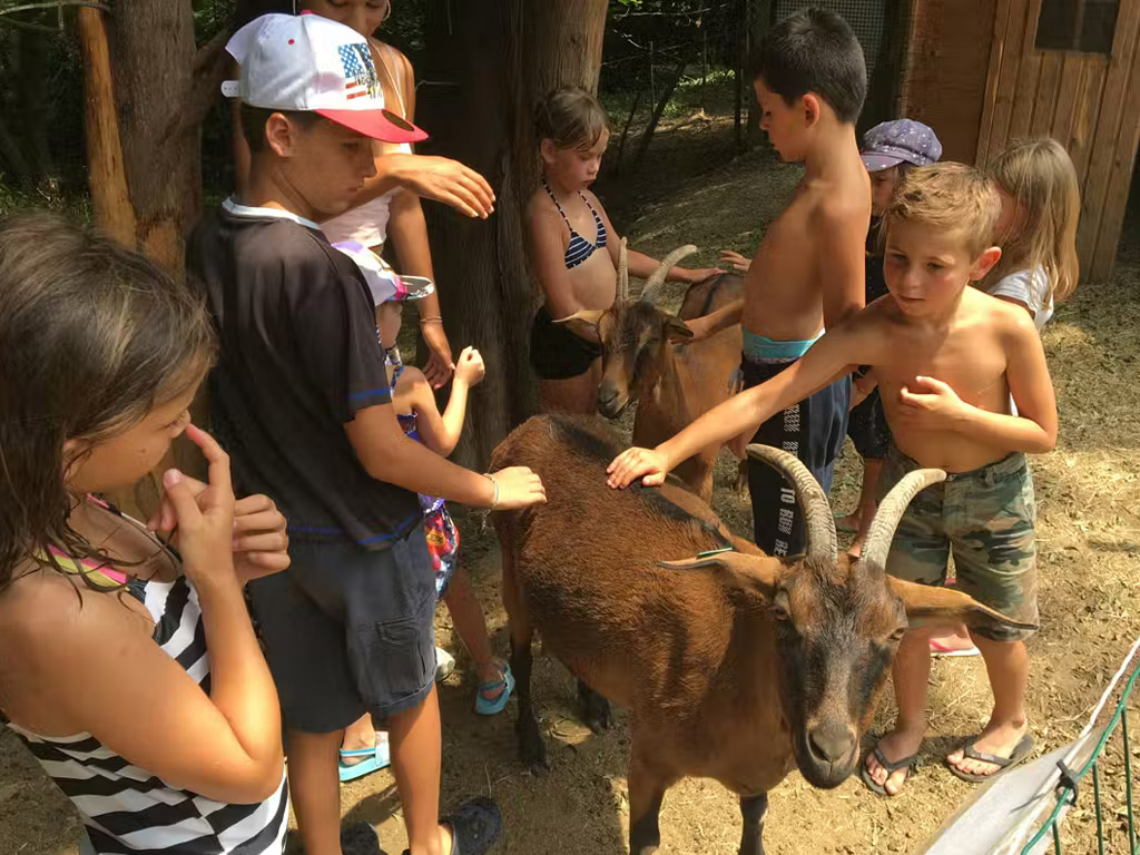 Flower Camping Les Tomasses 7