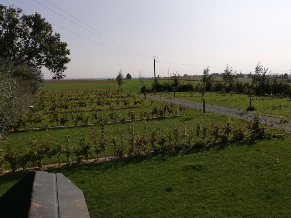 Camping La Ferme Des Saules 10