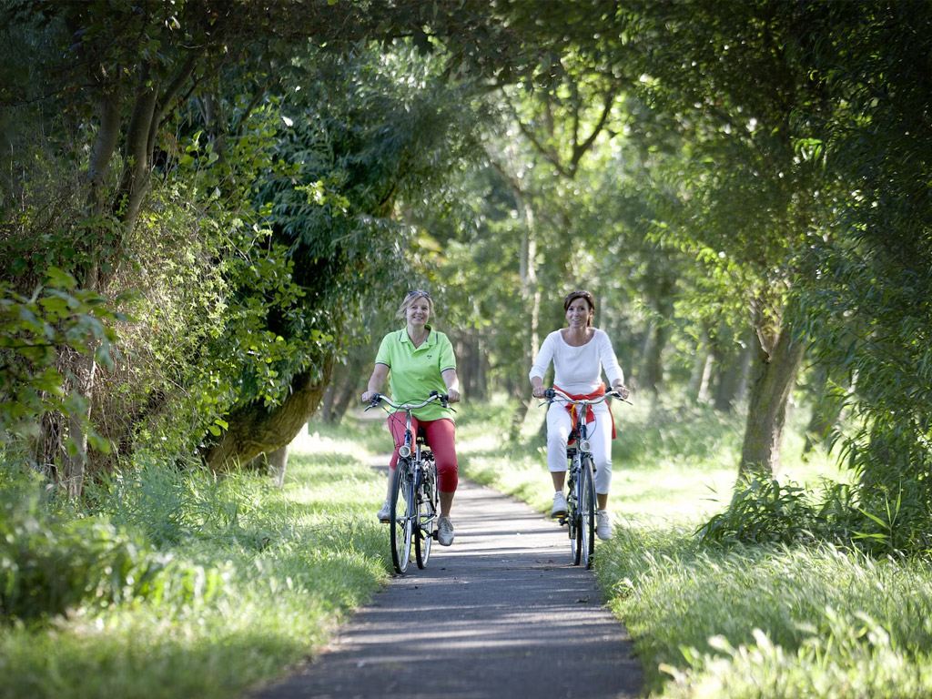 Roompot Breeduyn Village 5