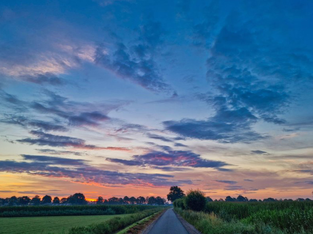 Minicamping De Zonnekoningin 10
