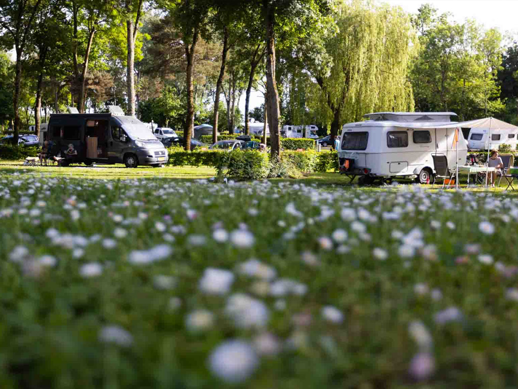 Castel Camping Chateau De L Eperviere 7