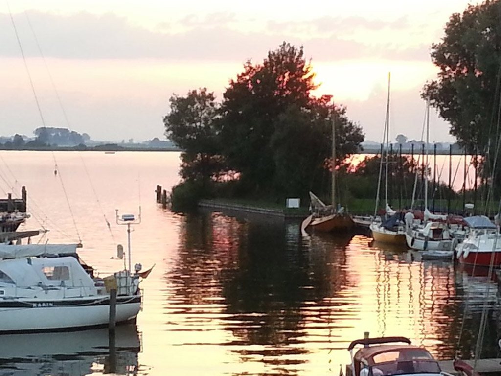 Camping De Koevoet 14