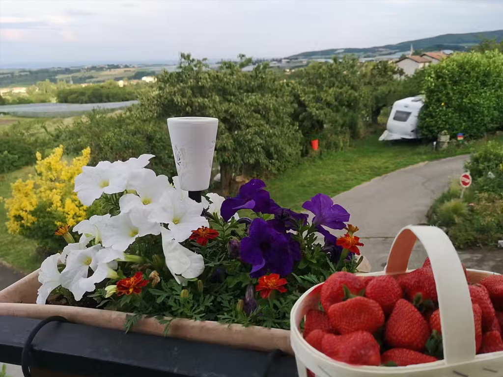 Aire Naturelle De Camping Les Cerisiers 7