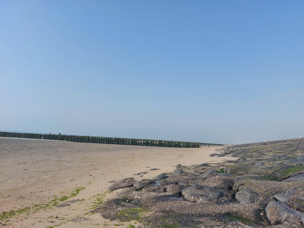 Camping De Westhoek 8