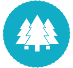 Camping im Wald in Luxemburg