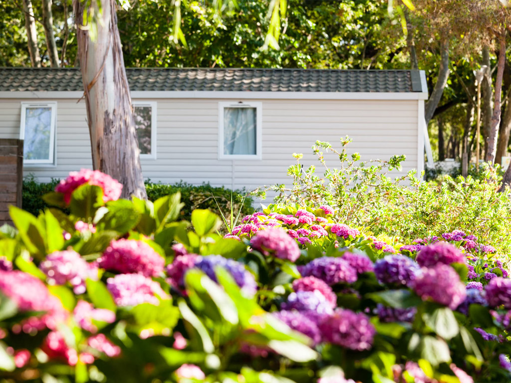 Camping Marine D Erba Rossa 4