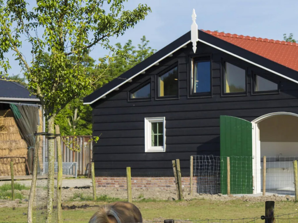 Minicamping De Oosthoek 8