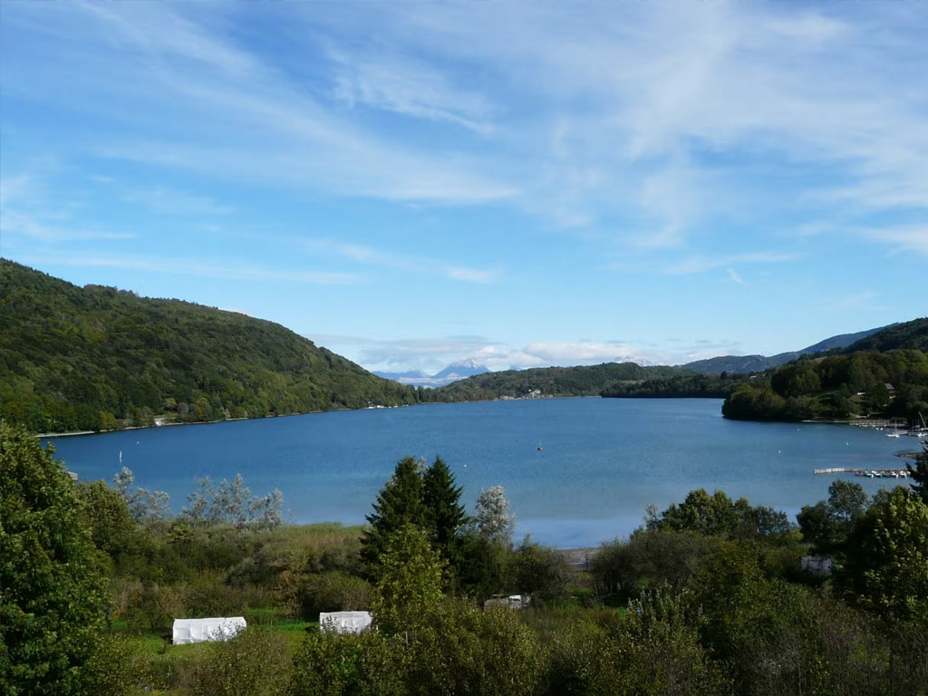 Flower Camping Ser Sirant 4