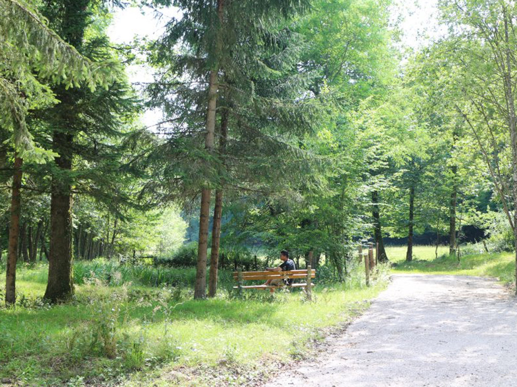 Etangs De Saint Pancras 4