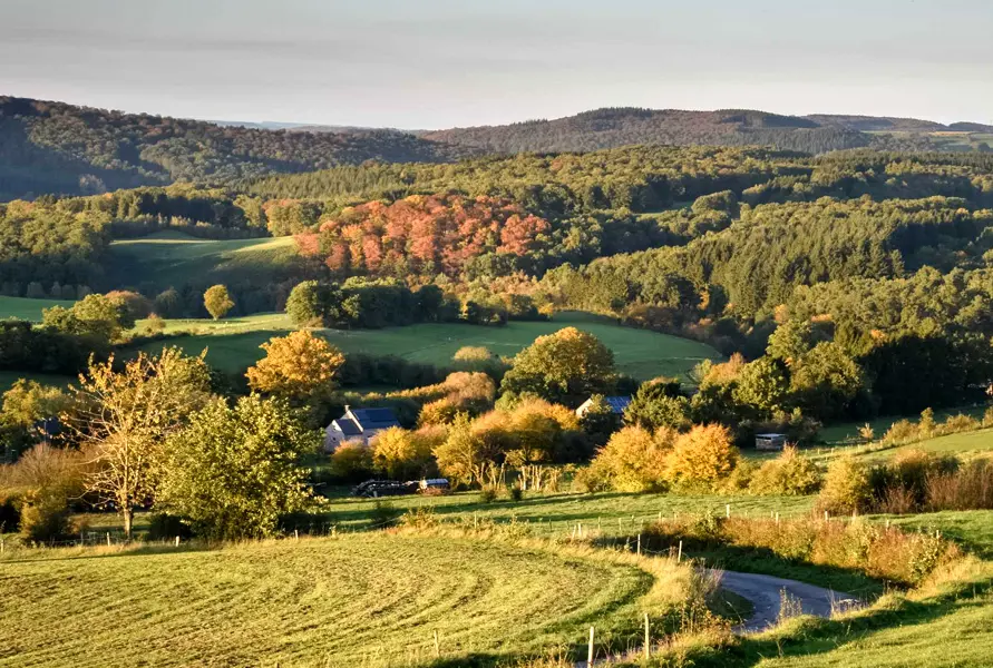 Schöne Herbstziele mit dem Auto erreichbar