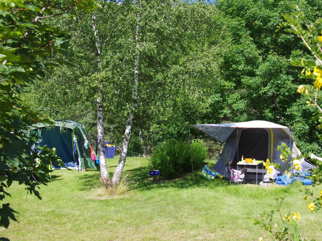 Flower Camping La Rochelambert 8