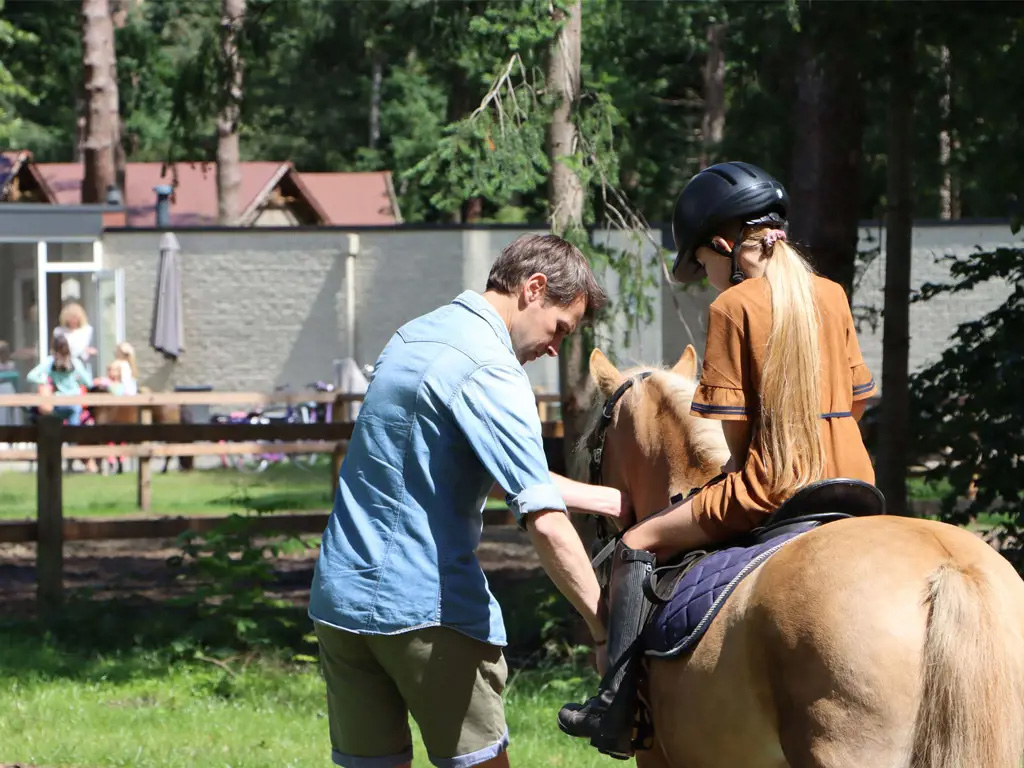 Winterwanderung über die Veluwe
