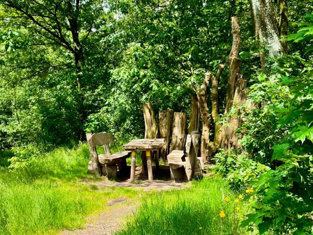 Boerderijcamping Niks Hoeve 2