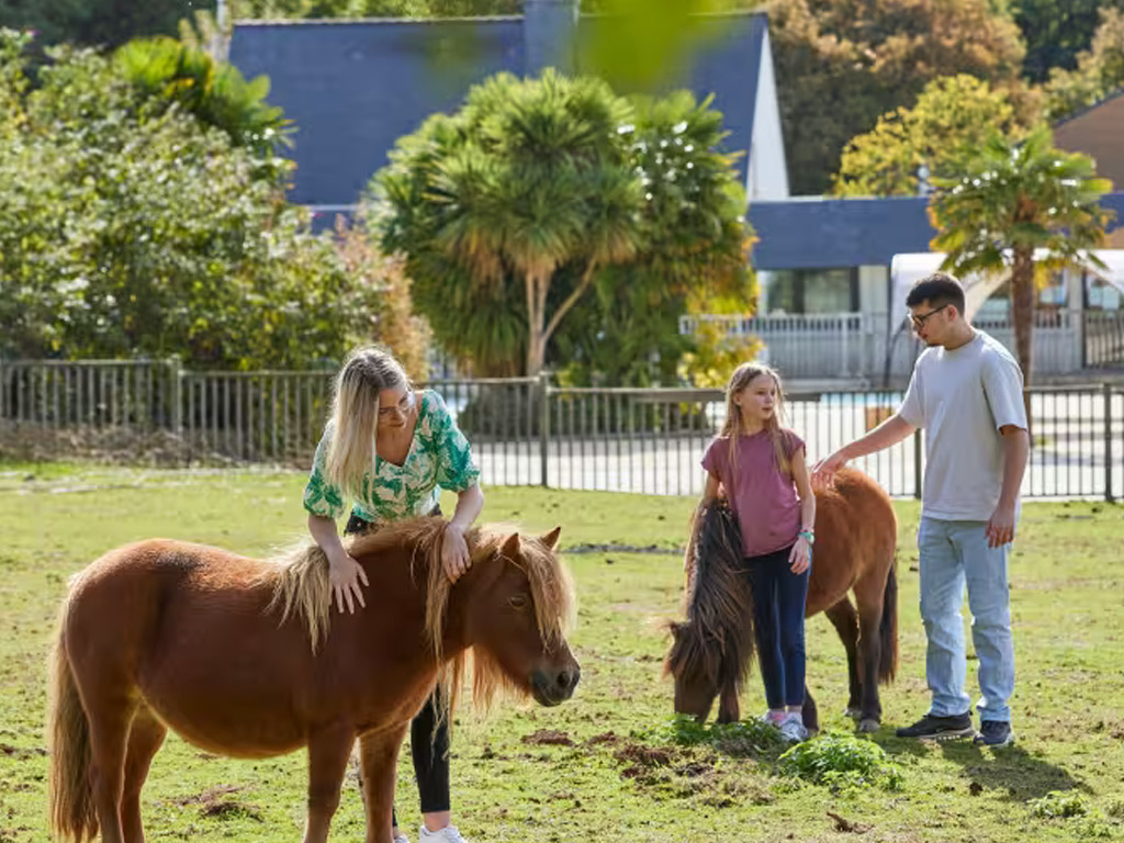 Camping Les Jardins De Morbihan 6