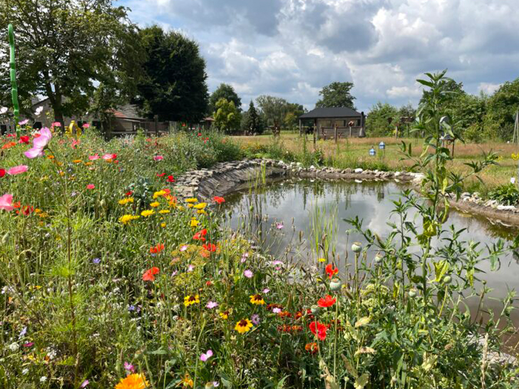 Minicamping Budel 13