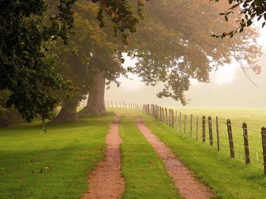 Camping Reine Mathilde 4